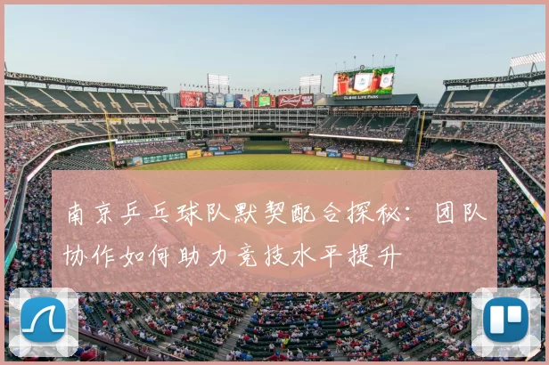 南京乒乓球队默契配合探秘:团队协作如何助力竞技水平提升
