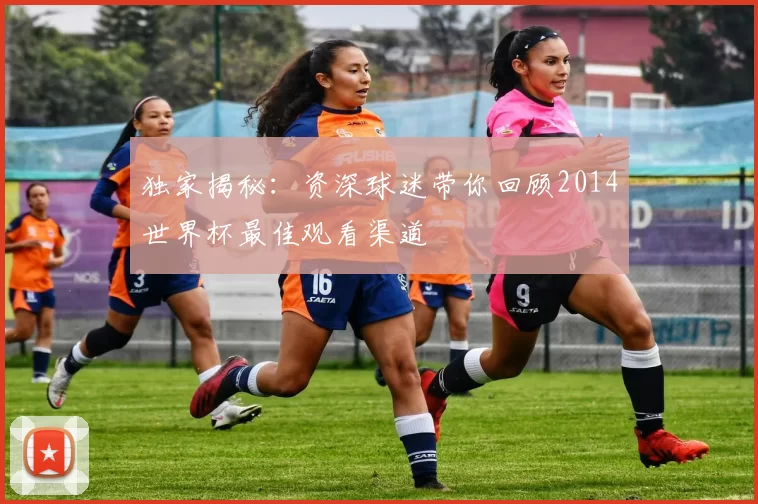 独家揭秘:资深球迷带你回顾2014世界杯最佳观看渠道