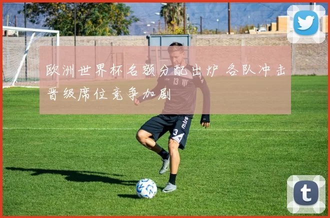 欧洲世界杯名额分配出炉 各队冲击晋级席位竞争加剧