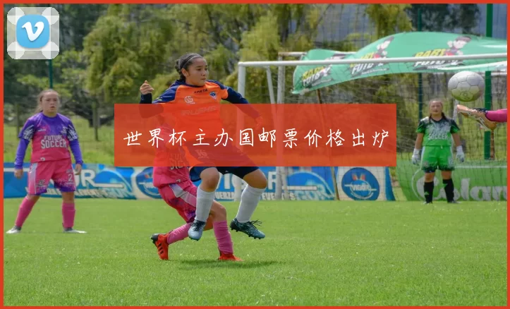 世界杯主办国邮票价格出炉