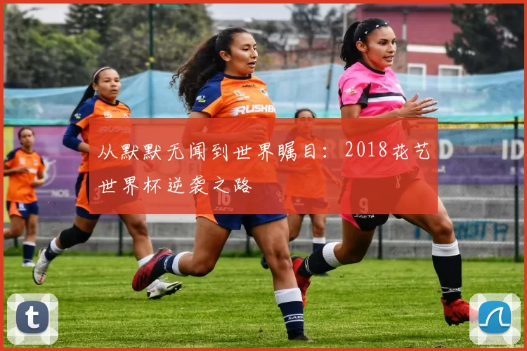 从默默无闻到世界瞩目:2018花艺世界杯逆袭之路