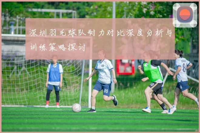 深圳羽毛球队耐力对比深度分析与训练策略探讨