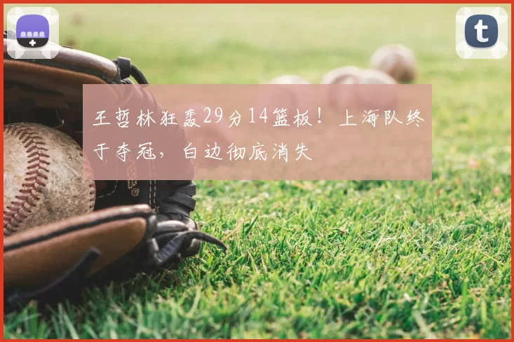 王哲林狂轰29分14篮板!上海队终于夺冠,白边彻底消失