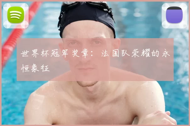 世界杯冠军奖章:法国队荣耀的永恒象征