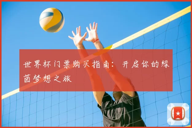 世界杯门票购买指南:开启你的绿茵梦想之旅