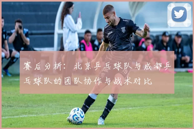 赛后分析:北京乒乓球队与成都乒乓球队的团队协作与战术对比
