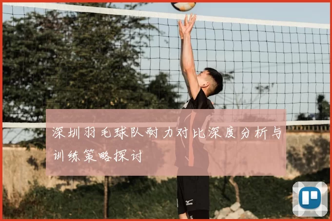 深圳羽毛球队耐力对比深度分析与训练策略探讨
