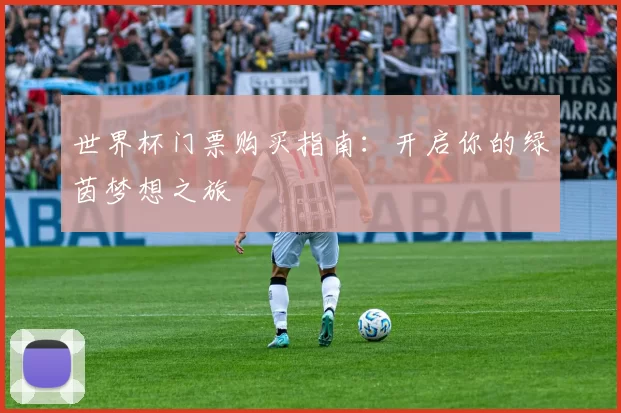 世界杯门票购买指南:开启你的绿茵梦想之旅