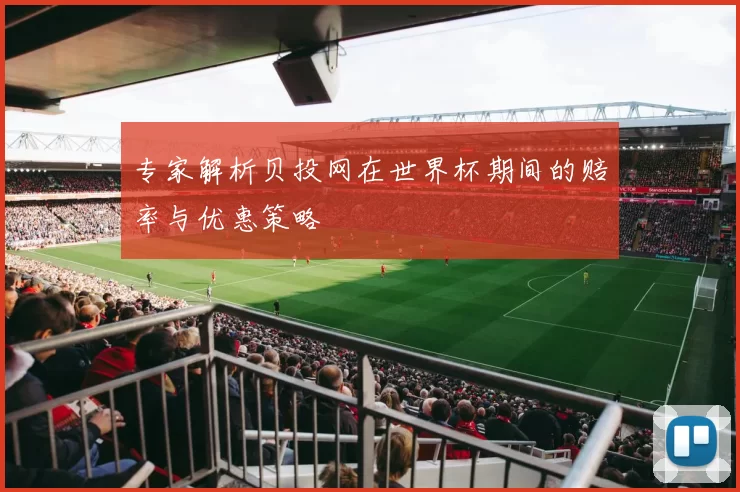 专家解析贝投网在世界杯期间的赔率与优惠策略
