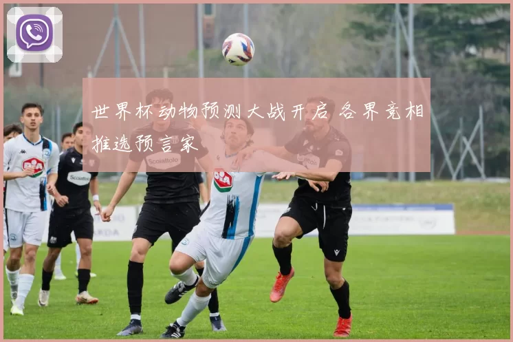 世界杯动物预测大战开启 各界竞相推选预言家